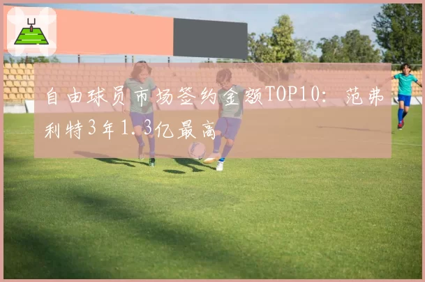 自由球员市场签约金额TOP10：范弗利特3年1.3亿最高