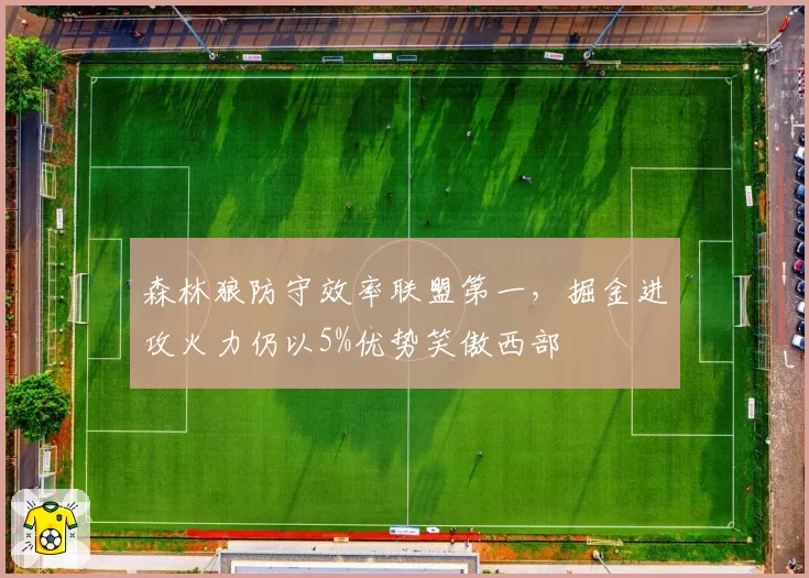 森林狼防守效率联盟第一,掘金进攻火力仍以5%优势笑傲西部