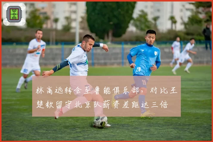 林高远转会至鲁能俱乐部，对比王楚钦留守北京队薪资差距达三倍